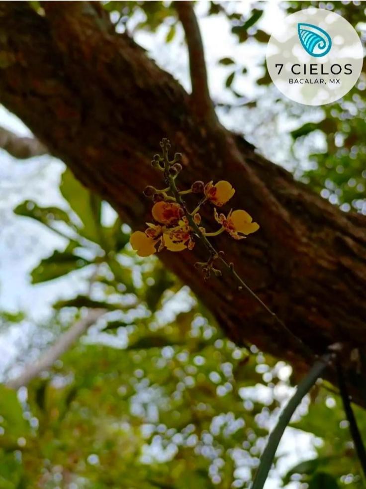 7 Cielos Bacalar. Экстерьер фото